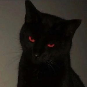 Meet your Posher, Renea